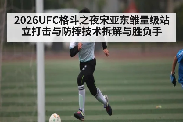 2026UFC格斗之夜宋亚东雏量级站立打击与防摔技术拆解与胜负手 - NG28
