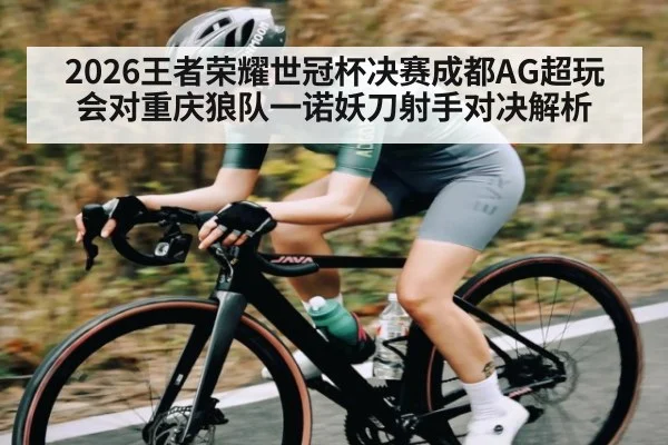 2026王者荣耀世冠杯决赛成都AG超玩会对重庆狼队一诺妖刀射手对决解析 - NG28