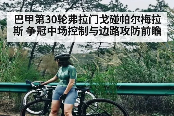 巴甲第30轮弗拉门戈碰帕尔梅拉斯 争冠中场控制与边路攻防前瞻 - NG28
